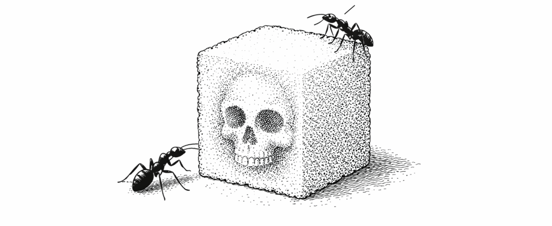 Fostering Information Resilience: The Role of The Inoculation Project